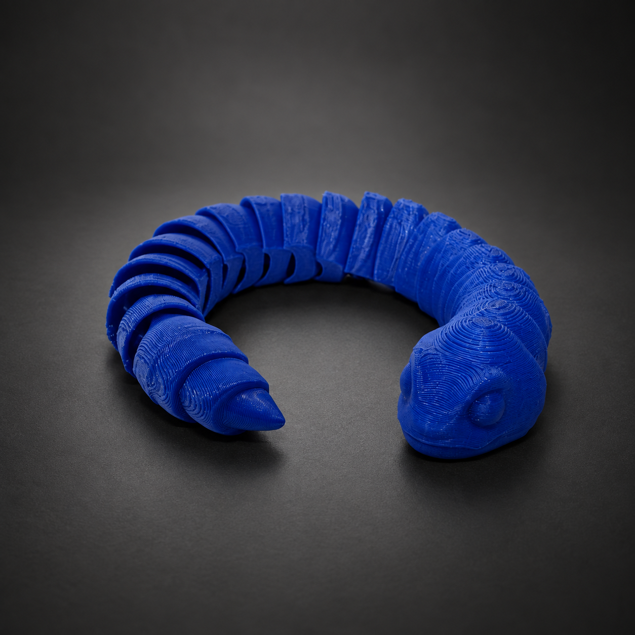 Sidewinder Snake curled into a coil