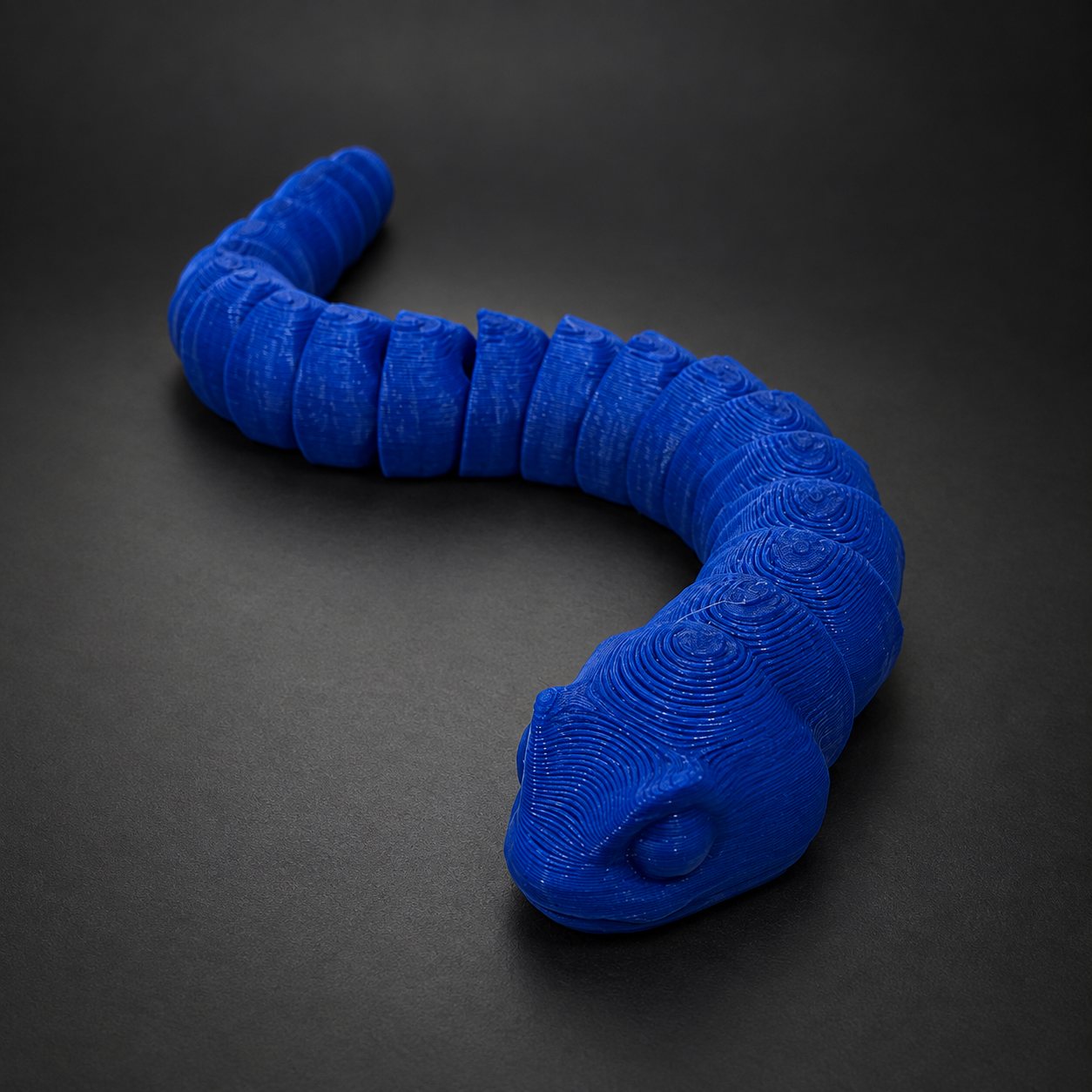 Sidewinder Snake real product view 3