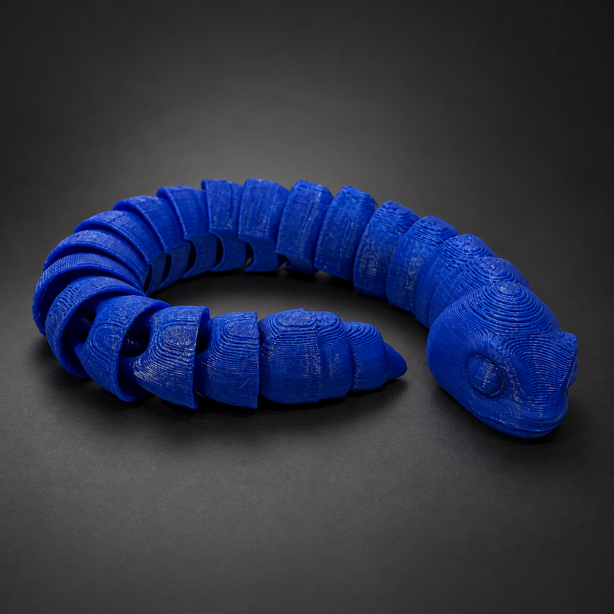 Sidewinder Snake photographed on the BrotherWorks Forge charcoal studio background